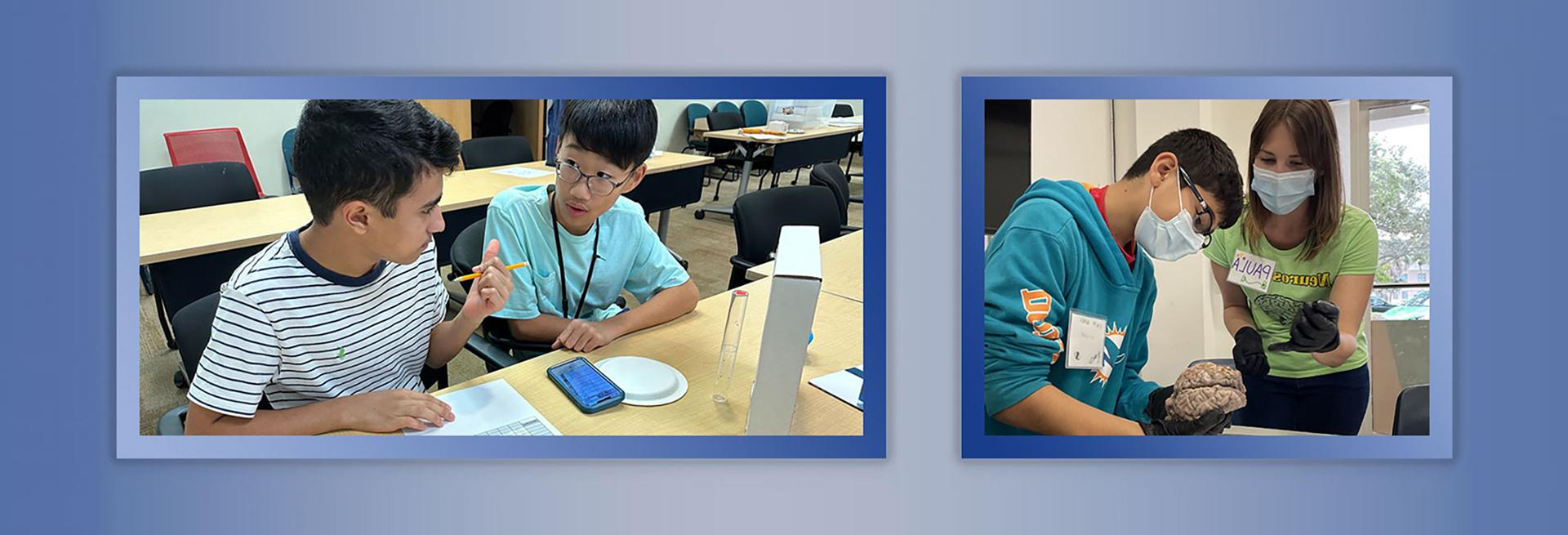 Students in the Brain lab